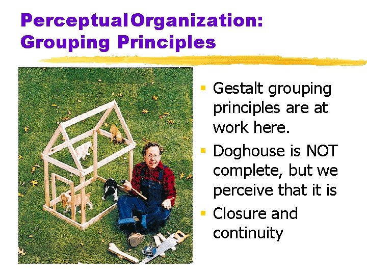 Perceptual. Organization: Grouping Principles § Gestalt grouping principles are at work here. § Doghouse