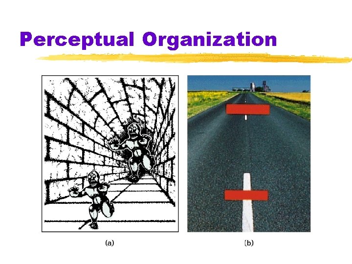 Perceptual Organization 