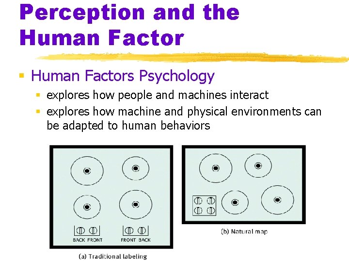 Perception and the Human Factor § Human Factors Psychology § explores how people and