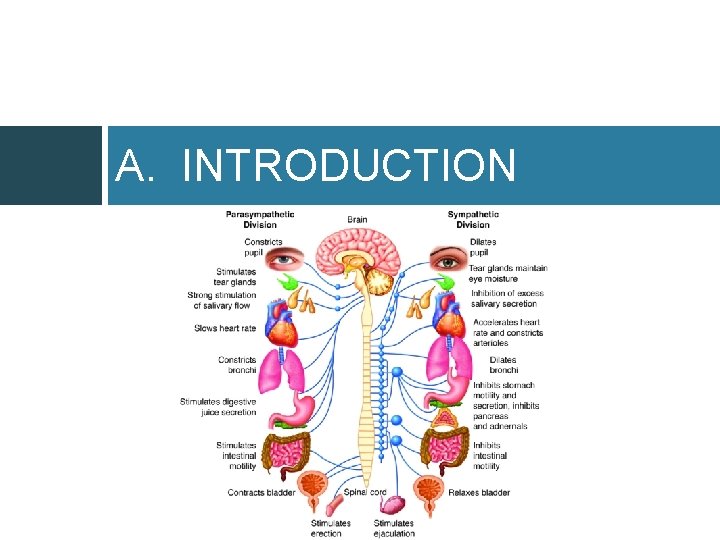 A. INTRODUCTION 