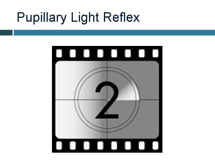 Pupillary Light Reflex 