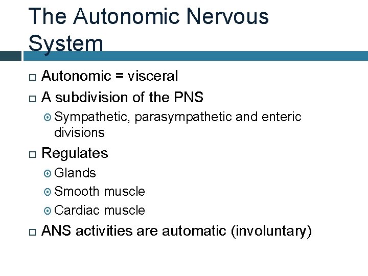 The Autonomic Nervous System Autonomic = visceral A subdivision of the PNS Sympathetic, parasympathetic