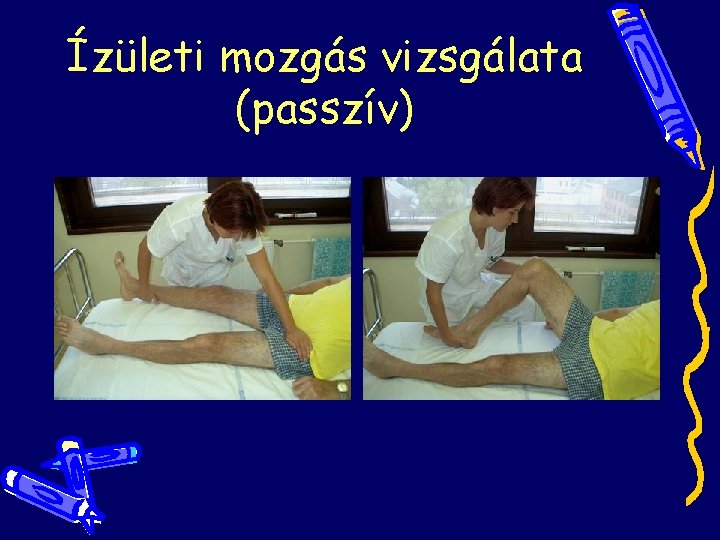 Ízületi mozgás vizsgálata (passzív) Ízületi mozgás vizsgálata (passzív)