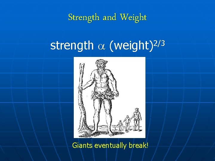 Strength and Weight strength (weight)2/3 Giants eventually break! 