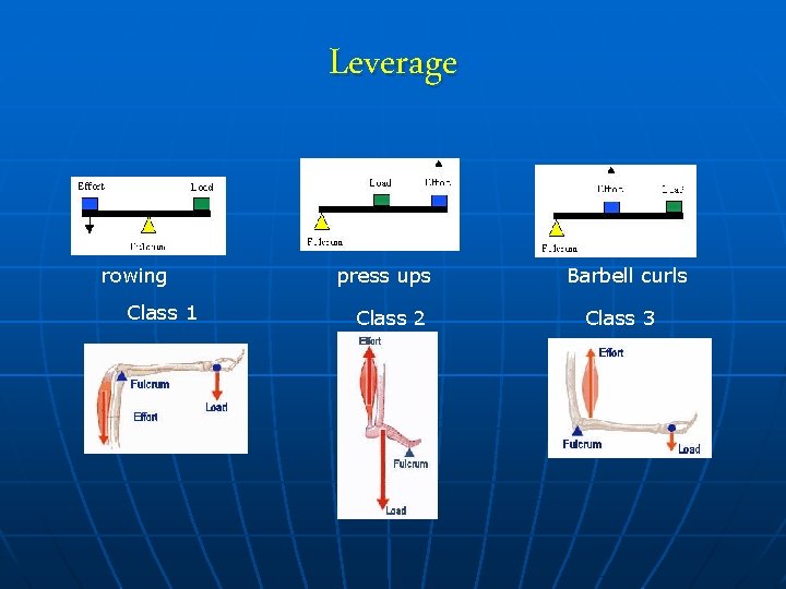 Leverage rowing Class 1 press ups Class 2 Barbell curls Class 3 