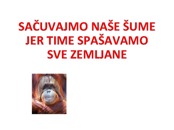 SAČUVAJMO NAŠE ŠUME JER TIME SPAŠAVAMO SVE ZEMLJANE 