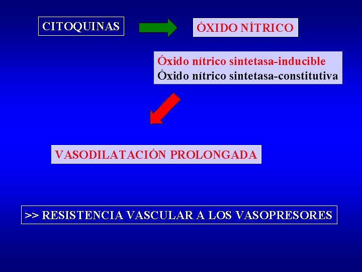 CITOQUINAS ÓXIDO NÍTRICO Óxido nítrico sintetasa-inducible Óxido nítrico sintetasa-constitutiva VASODILATACIÓN PROLONGADA >> RESISTENCIA VASCULAR