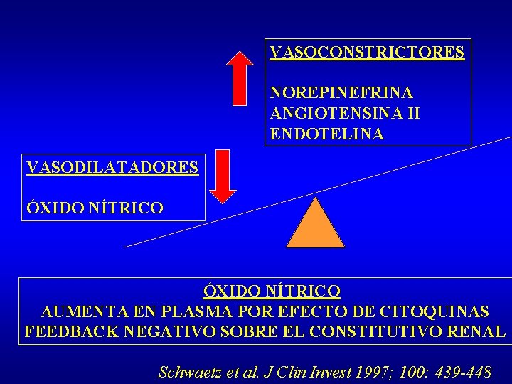 VASOCONSTRICTORES NOREPINEFRINA ANGIOTENSINA II ENDOTELINA VASODILATADORES ÓXIDO NÍTRICO AUMENTA EN PLASMA POR EFECTO DE