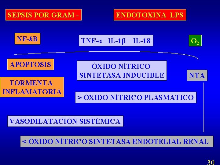 SEPSIS POR GRAM NF-k. B APOPTOSIS TORMENTA INFLAMATORIA ENDOTOXINA LPS TNF-α IL-1β IL-18 ÓXIDO