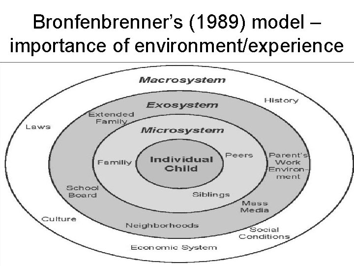 Bronfenbrenner’s (1989) model – importance of environment/experience 