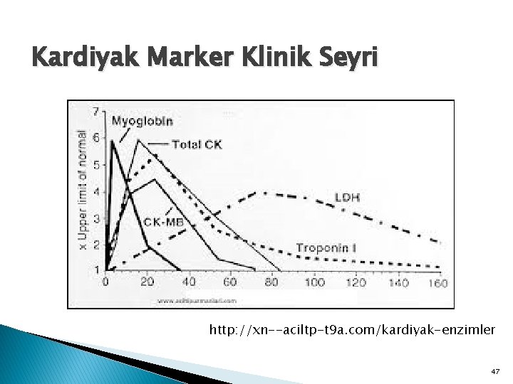 Kardiyak Marker Klinik Seyri http: //xn--aciltp-t 9 a. com/kardiyak-enzimler 47 