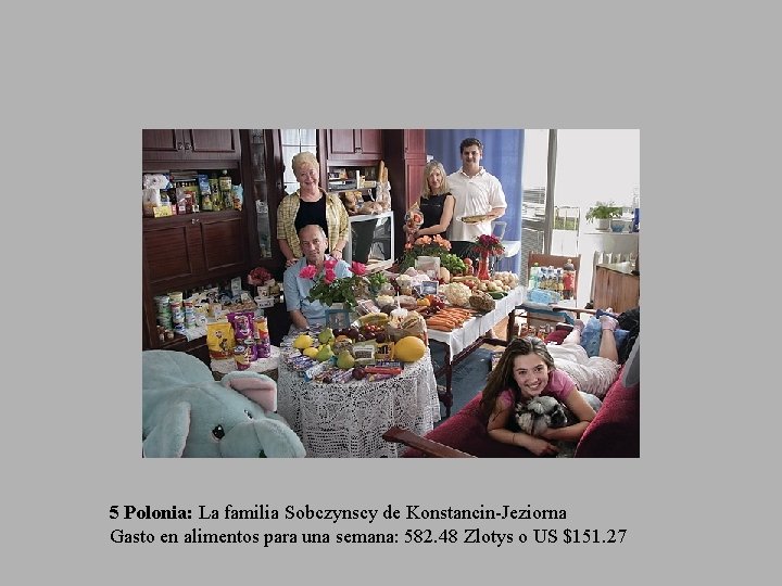 5 Polonia: La familia Sobczynscy de Konstancin-Jeziorna Gasto en alimentos para una semana: 582.