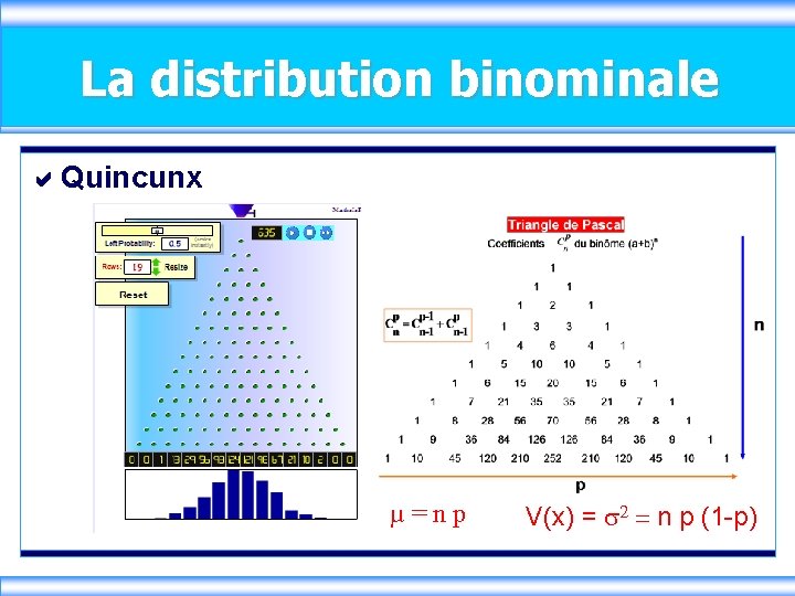 La distribution binominale Quincunx µ = n p V(x) = 2 = n p