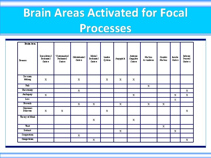 Brain Areas Activated for Focal Processes Brain Area Process Decision Making Dorsolateral Prefrontal Cortex