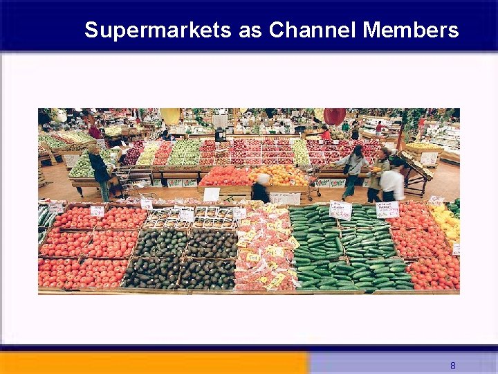 Supermarkets as Channel Members 8 