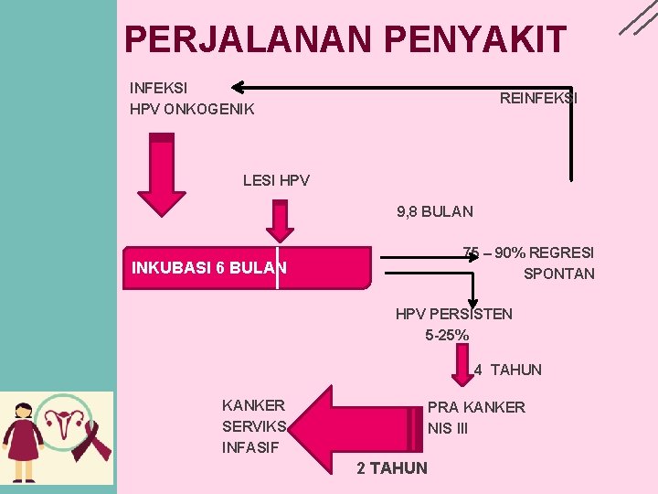PERJALANAN PENYAKIT INFEKSI HPV ONKOGENIK REINFEKSI LESI HPV 9, 8 BULAN 75 – 90%