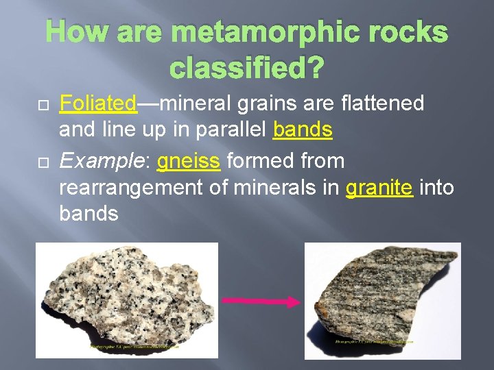 How are metamorphic rocks classified? Foliated—mineral grains are flattened and line up in parallel