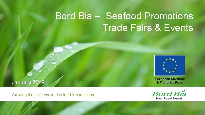 Bord Bia – Seafood Promotions Trade Fairs & Events January 2018 Growing the success