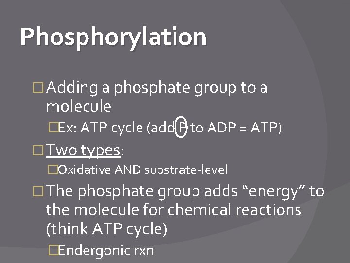 Phosphorylation � Adding a phosphate group to a molecule �Ex: ATP cycle (add P