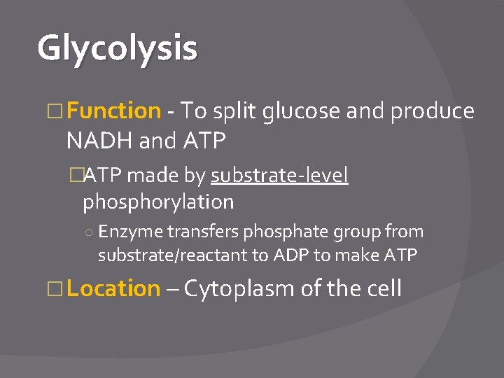 Glycolysis � Function - To split glucose and produce NADH and ATP �ATP made