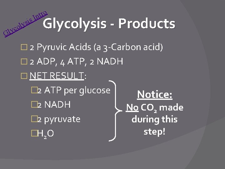 o tr n I s ysi l o c Glycolysis - Products � 2
