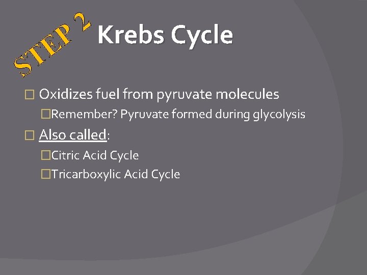 P E T S 2 Krebs Cycle � Oxidizes fuel from pyruvate molecules �Remember?