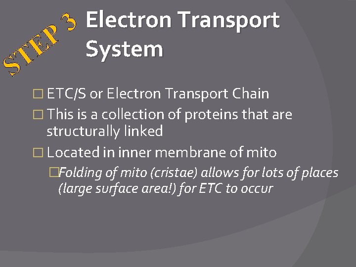 3 Electron Transport P System E T S � ETC/S or Electron Transport Chain