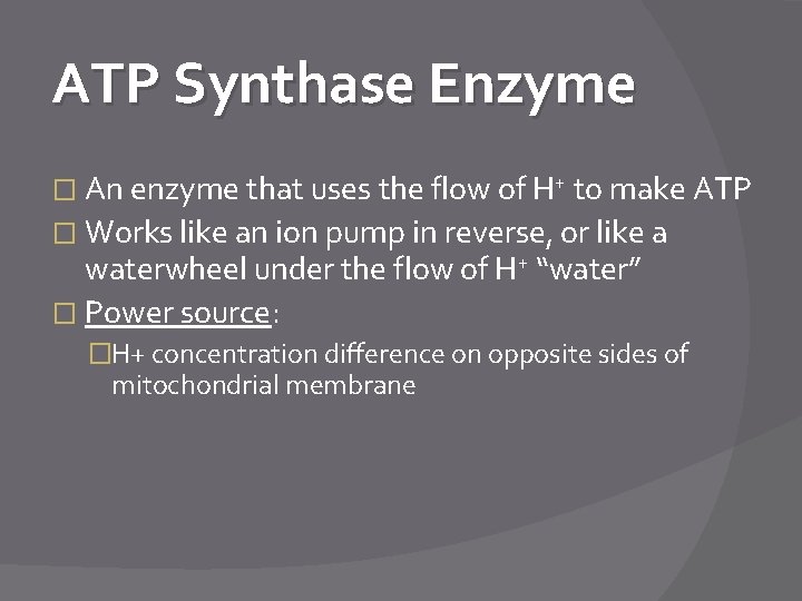 ATP Synthase Enzyme � An enzyme that uses the flow of H+ to make