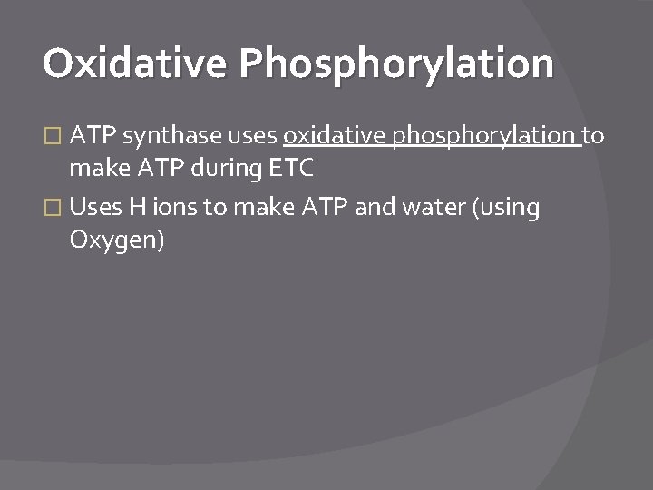 Oxidative Phosphorylation � ATP synthase uses oxidative phosphorylation to make ATP during ETC �