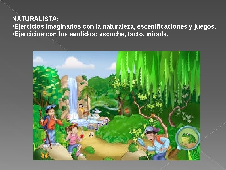 NATURALISTA: • Ejercicios imaginarios con la naturaleza, escenificaciones y juegos. • Ejercicios con los