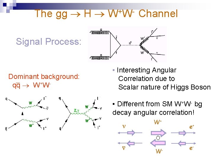 The gg H W+W- Channel Signal Process: Dominant background: qq W+W- • Interesting Angular