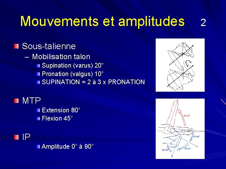 Mouvements et amplitudes Sous-talienne – Mobilisation talon Supination (varus) 20° Pronation (valgus) 10° SUPINATION