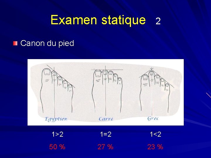 Examen statique 2 Canon du pied 1>2 1=2 1<2 50 % 27 % 23