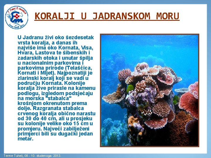 KORALJI U JADRANSKOM MORU U Jadranu živi oko šezdesetak vrsta koralja, a danas ih