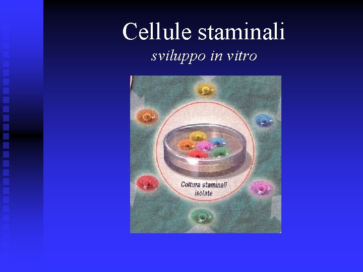 Cellule staminali sviluppo in vitro 