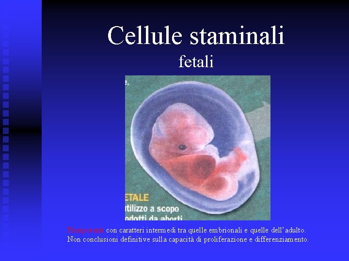 Cellule staminali fetali Pluripotenti con caratteri intermedi tra quelle embrionali e quelle dell’adulto. Non
