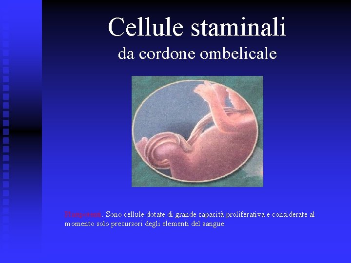 Cellule staminali da cordone ombelicale Pluripotenti. Sono cellule dotate di grande capacità proliferativa e