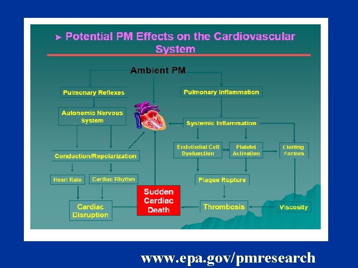 www. epa. gov/pmresearch 