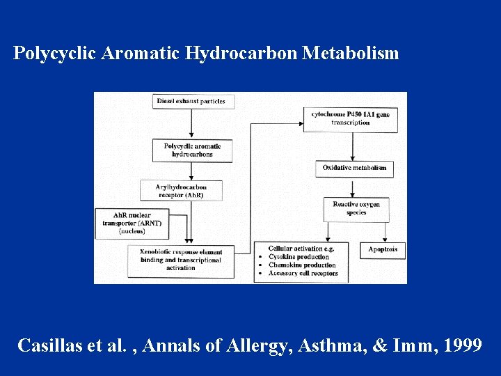 Polycyclic Aromatic Hydrocarbon Metabolism Casillas et al. , Annals of Allergy, Asthma, & Imm,