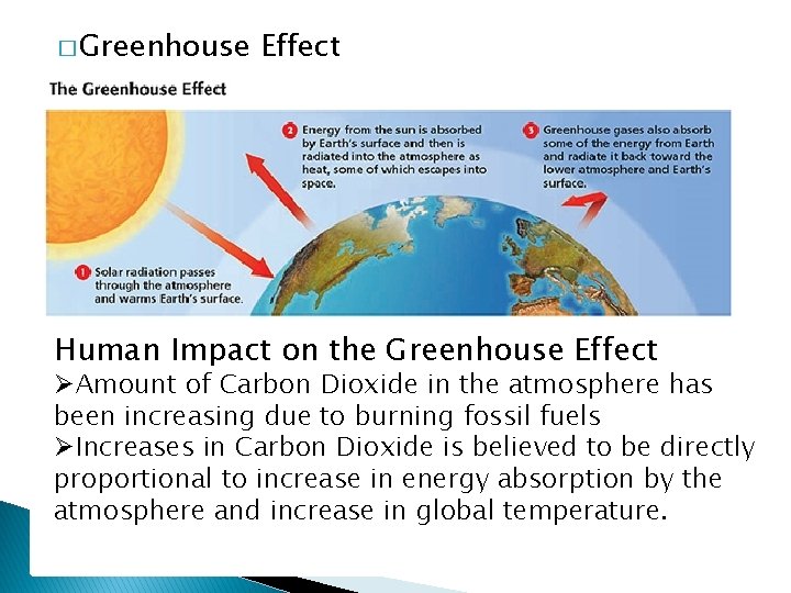 � Greenhouse Effect Human Impact on the Greenhouse Effect ØAmount of Carbon Dioxide in