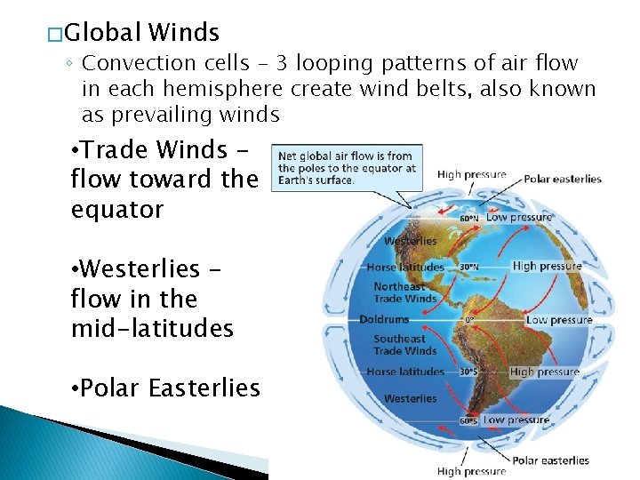 � Global Winds ◦ Convection cells - 3 looping patterns of air flow in
