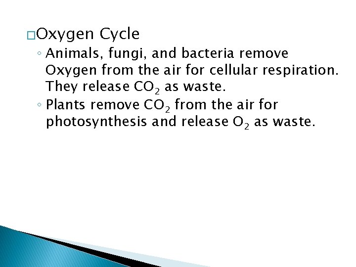 �Oxygen Cycle ◦ Animals, fungi, and bacteria remove Oxygen from the air for cellular
