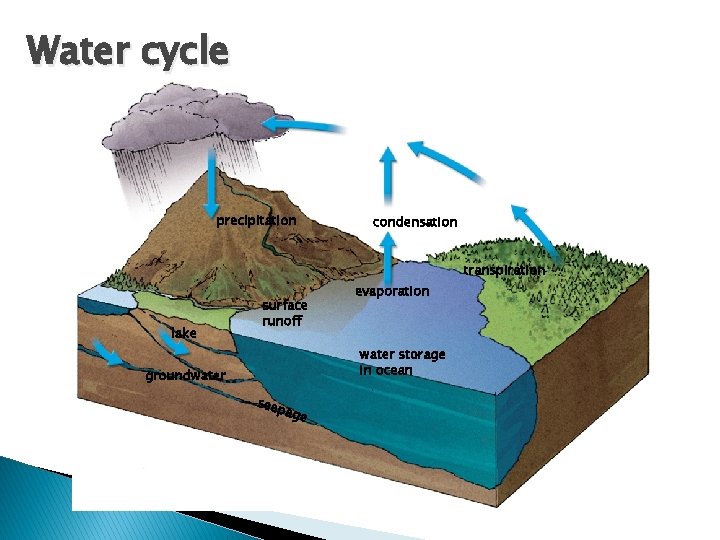 Water cycle precipitation condensation transpiration lake surface runoff evaporation water storage in ocean groundwater