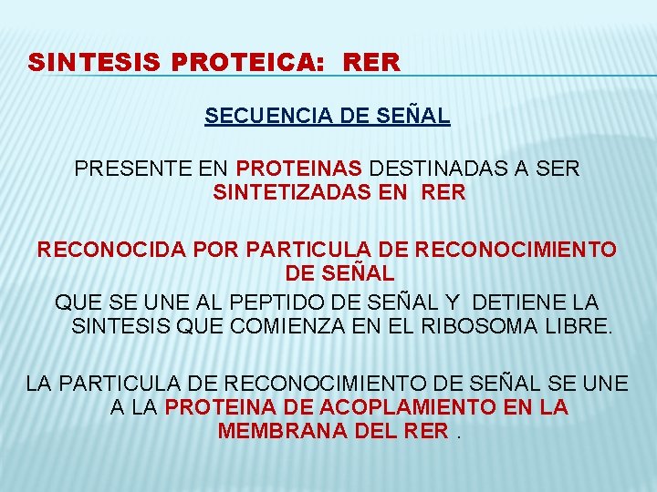 SINTESIS PROTEICA: RER SECUENCIA DE SEÑAL PRESENTE EN PROTEINAS DESTINADAS A SER SINTETIZADAS EN