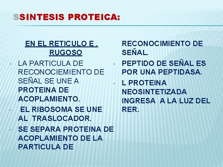 SSINTESIS PROTEICA: • • • EN EL RETICULO E. RUGOSO LA PARTICULA DE •