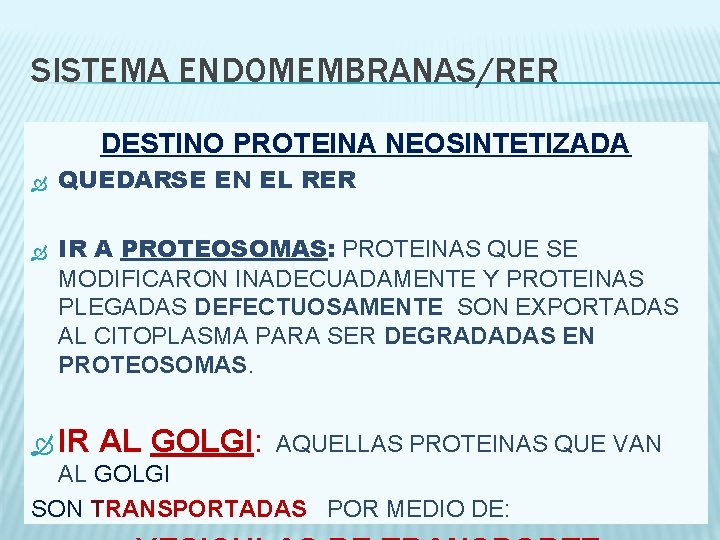 SISTEMA ENDOMEMBRANAS/RER DESTINO PROTEINA NEOSINTETIZADA QUEDARSE EN EL RER IR A PROTEOSOMAS: PROTEINAS QUE