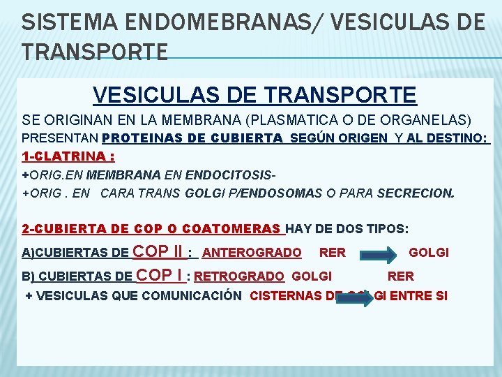 SISTEMA ENDOMEBRANAS/ VESICULAS DE TRANSPORTE SE ORIGINAN EN LA MEMBRANA (PLASMATICA O DE ORGANELAS)