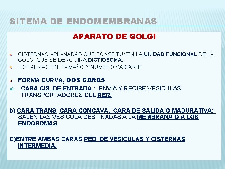 SITEMA DE ENDOMEMBRANAS APARATO DE GOLGI CISTERNAS APLANADAS QUE CONSTITUYEN LA UNIDAD FUNCIONAL DEL
