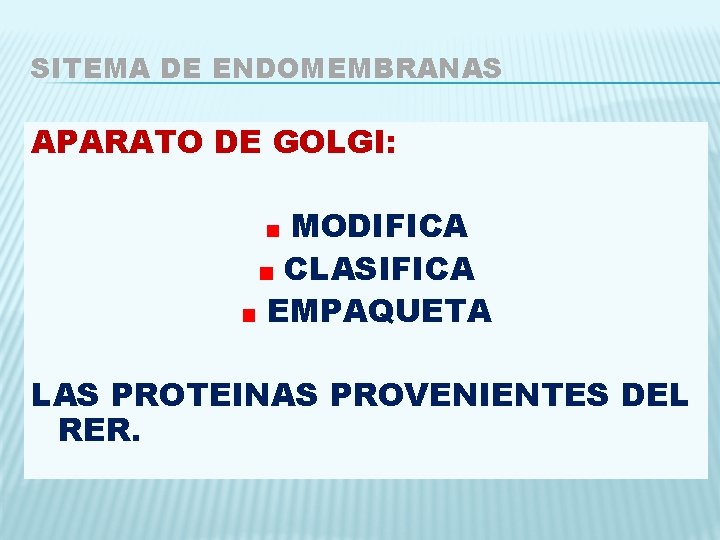 SITEMA DE ENDOMEMBRANAS APARATO DE GOLGI: MODIFICA CLASIFICA EMPAQUETA LAS PROTEINAS PROVENIENTES DEL RER.