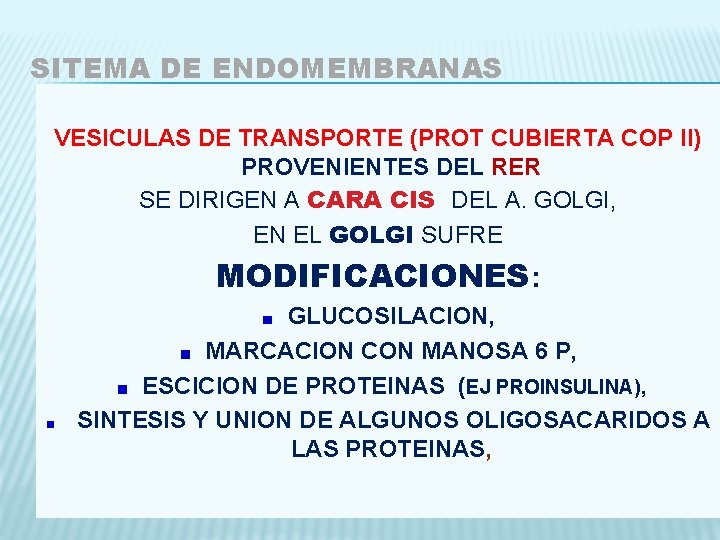 SITEMA DE ENDOMEMBRANAS VESICULAS DE TRANSPORTE (PROT CUBIERTA COP II) PROVENIENTES DEL RER SE